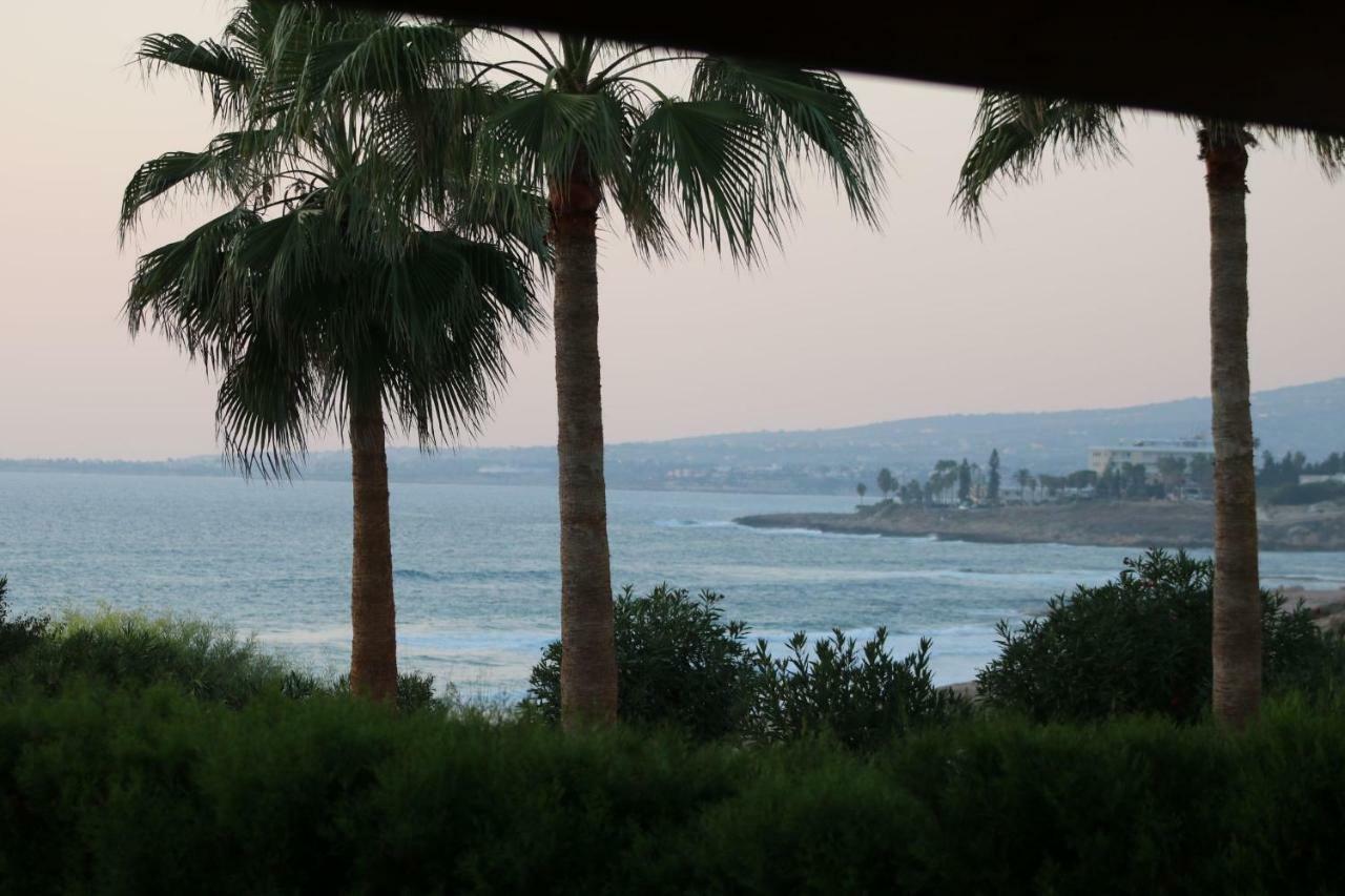 Yulya Villa By Taimoura Pafos Exterior foto