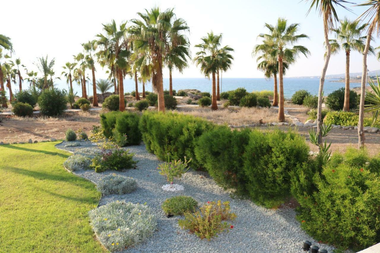 Yulya Villa By Taimoura Pafos Exterior foto